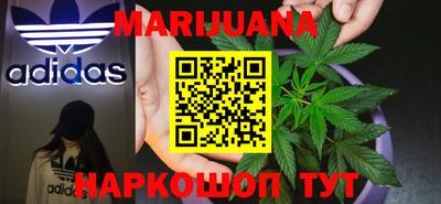 гидра Краснознаменск