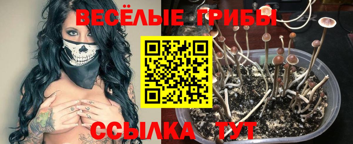 Псилоцибиновые грибы MAGIC MUSHROOMS Клин